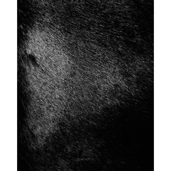 Saint Laurent MOMBASA large in pony hair leather, view 6