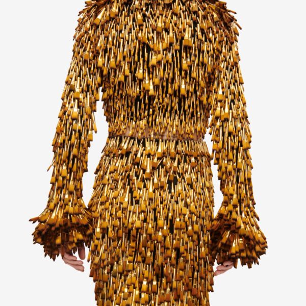 Schiaparelli Brushes Cardigan Knitwear in Schiaparelli Authentic Luxury Fashion at Coveti