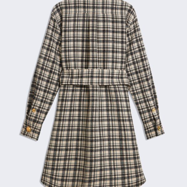 Schiaparelli Short Shirt Dress Dresses in Schiaparelli Authentic Luxury Fashion at Coveti
