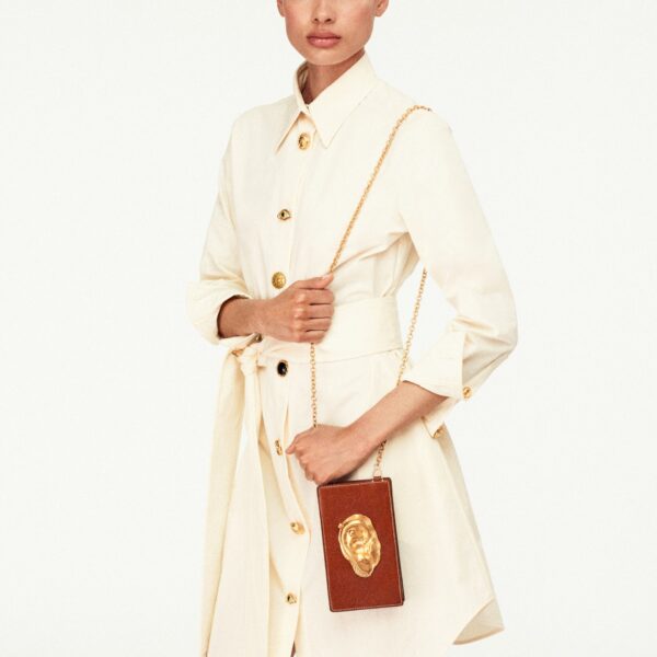 Schiaparelli Short Shirt Dress Dresses in Schiaparelli Authentic Luxury Fashion at Coveti