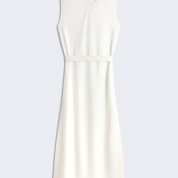 Schiaparelli Straight Dress Dresses in Schiaparelli Authentic Luxury Fashion at Coveti