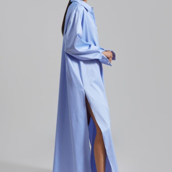 The Frankie Shop Avery Shirt Dress - Blue - Oversized Minimalist Dresses in Blue - Shop at Coveti