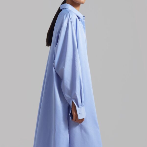 The Frankie Shop Avery Shirt Dress - Blue - Oversized Minimalist Dresses in Blue - Shop at Coveti