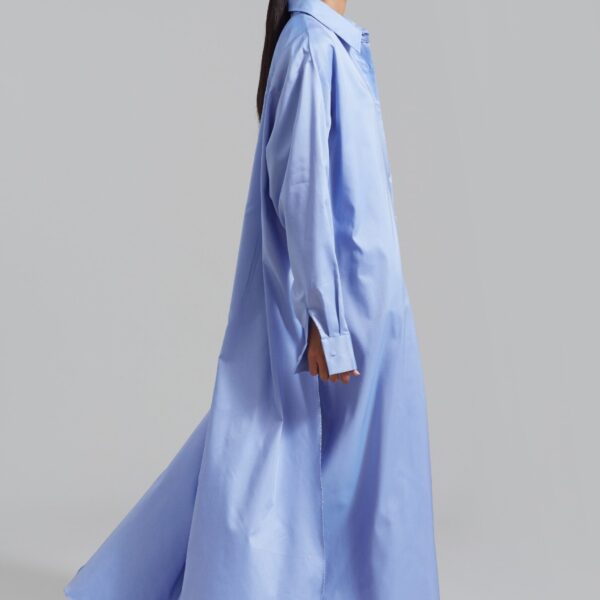 The Frankie Shop Avery Shirt Dress - Blue - Oversized Minimalist Dresses in Blue - Shop at Coveti