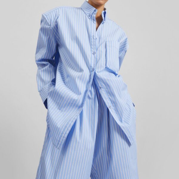 The Frankie Shop Elyn Cotton Bermuda Shorts - Blue/White Stripe - Oversized Minimalist Shorts in Multicolour - Shop at Coveti