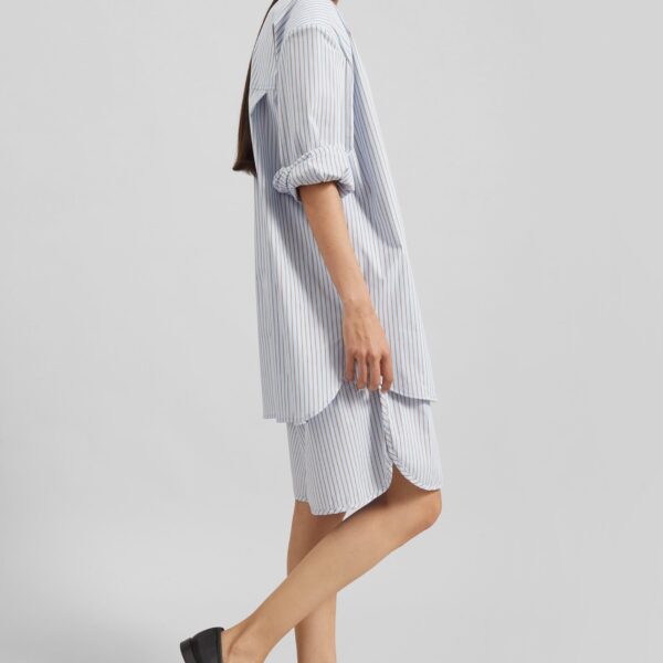 The Frankie Shop Elyn Cotton Bermuda Shorts - Light Blue/Brown Stripe - Oversized Minimalist Shorts in Multicolour - Shop at Coveti