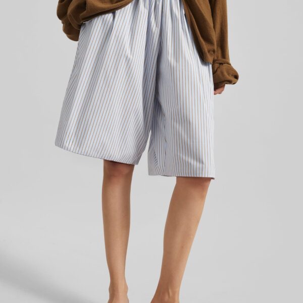 The Frankie Shop Elyn Cotton Bermuda Shorts - Light Blue/Brown Stripe - Oversized Minimalist Shorts in Multicolour - Shop at Coveti