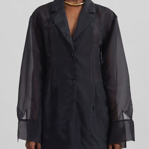 The Frankie Shop Lise Sheer Blazer - Black - Oversized Minimalist Jackets in Black - Shop at Coveti