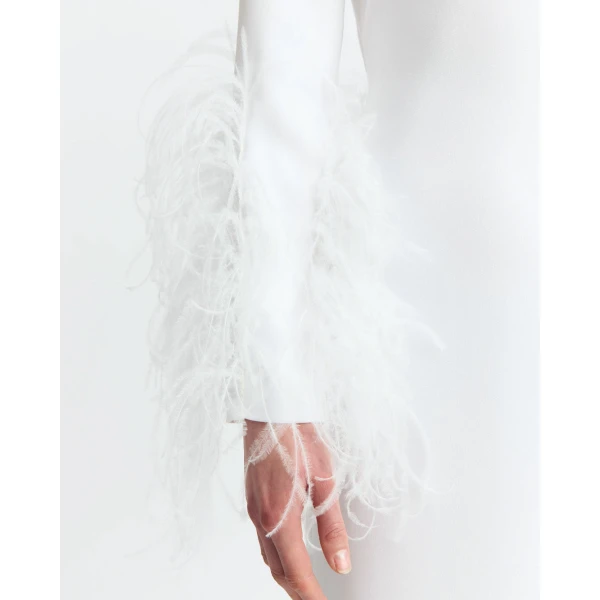 Elevate your elegance in this 16 Arlington Dresses from the luxury feather dress edit