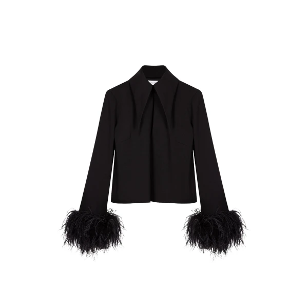 Elevate your elegance in this 16 Arlington Tops from the luxury feather dress edit