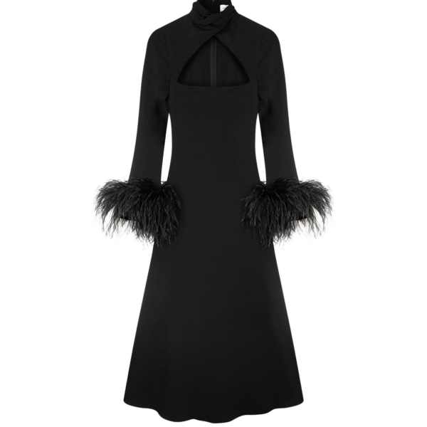 Elevate your elegance in this 16 Arlington Dresses from the luxury feather dress edit