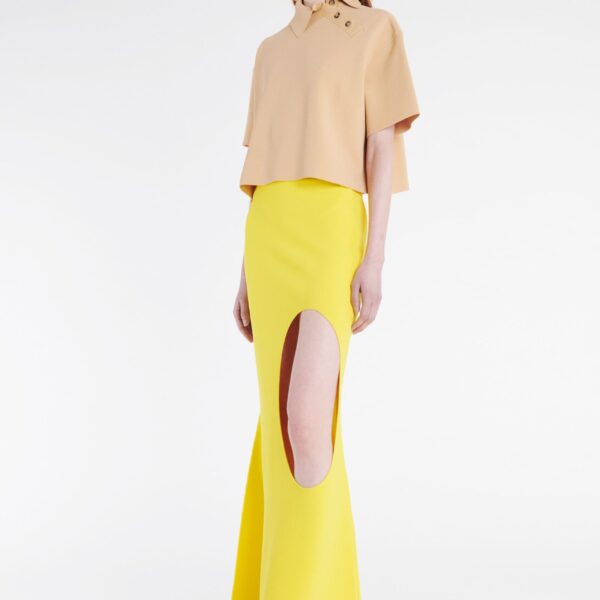 designer skirt
