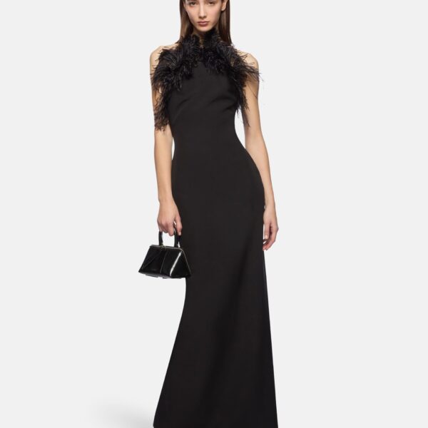 Black long dress
