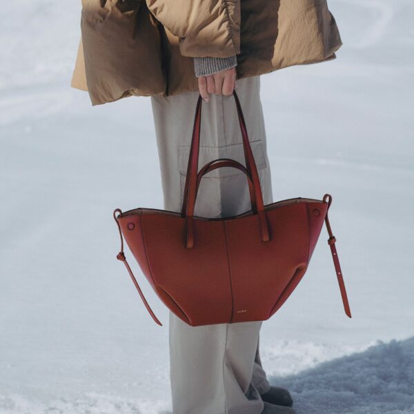 Polène Cyme Mini in Red Clay Cyme Mini in Red Clay - Mini Bags - Parisian Luxury Leather Bag at Coveti