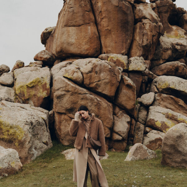 Polène Numéro Dix in Root Numéro Dix in Root - Shoulder & Crossbody Bags - Parisian Luxury Leather Bag at Coveti