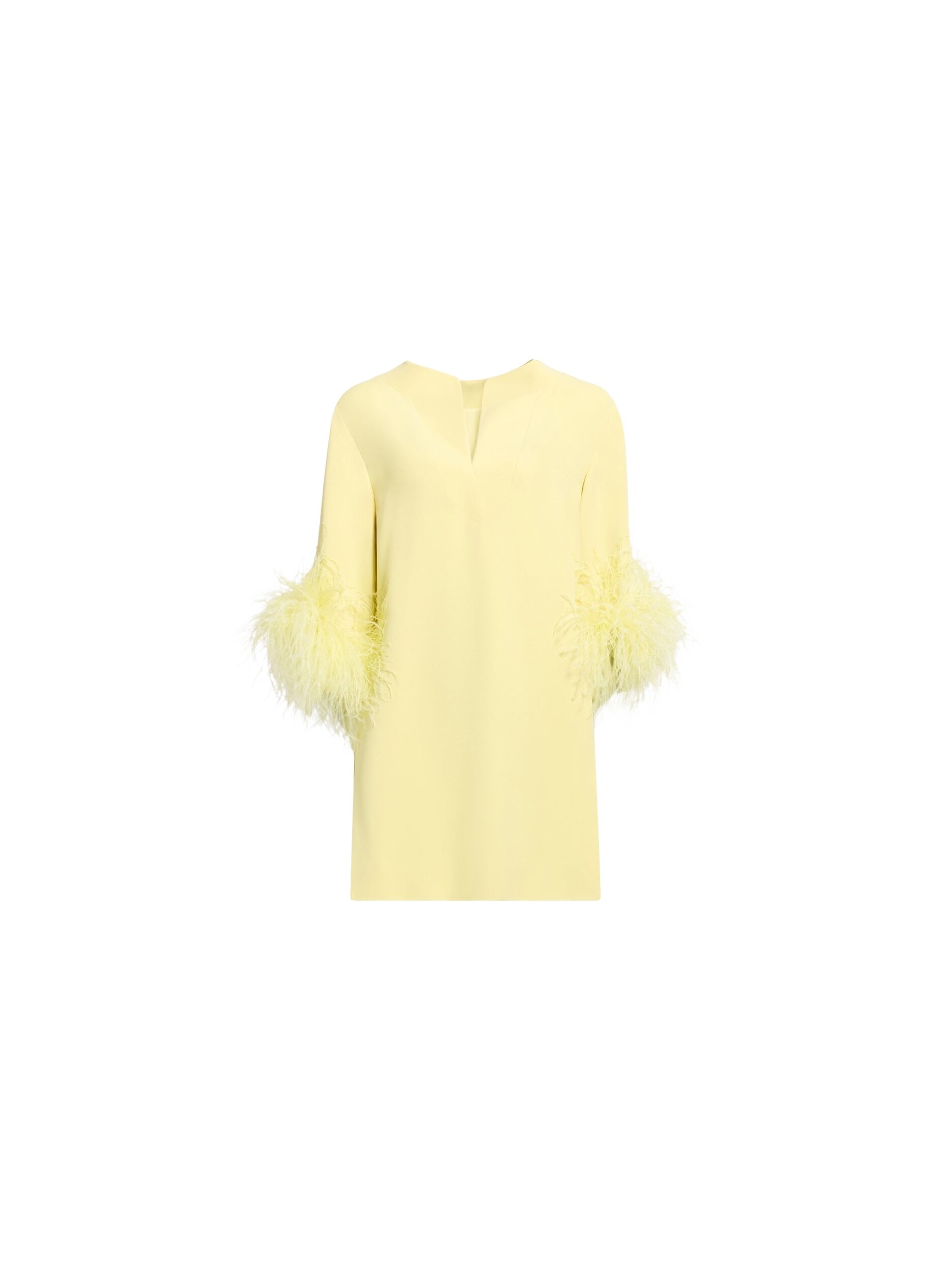 Elie Saab Feather Trimmed Top