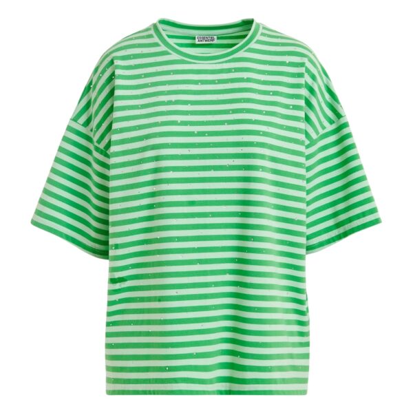 Light green and green striped rhinestone-embellished oversized cotton T-shirt