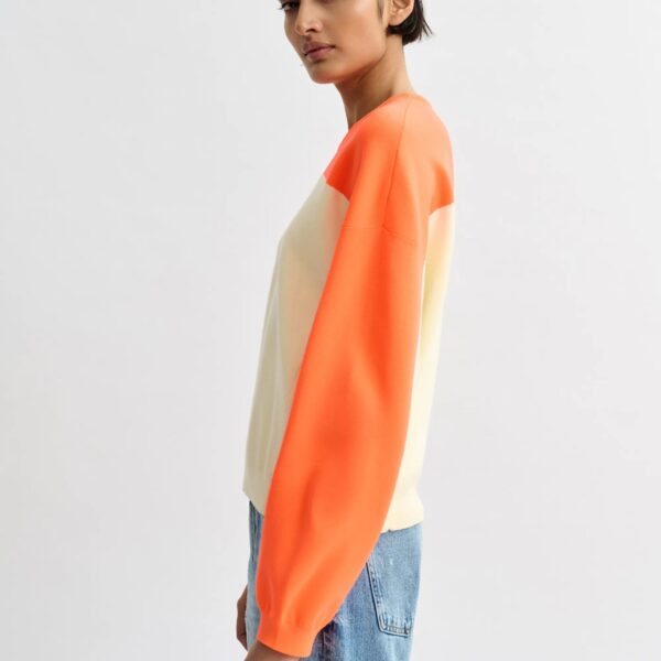 Knitwear Multicolour