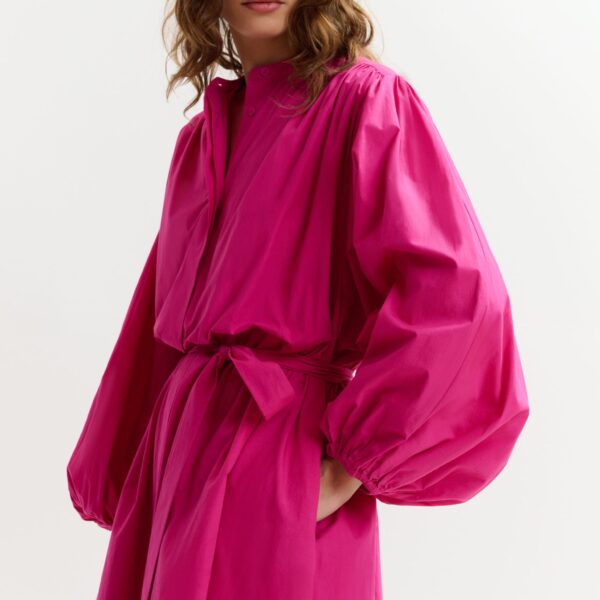 Essentiel Antwerp dress