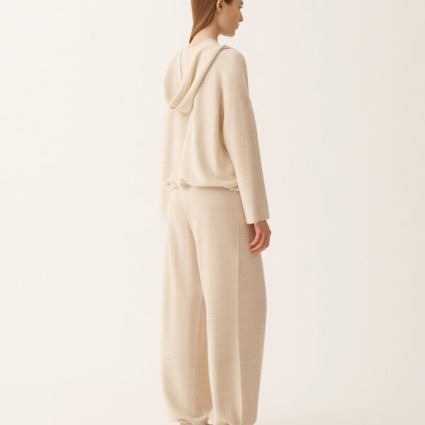 Hooded Sweater in Wool