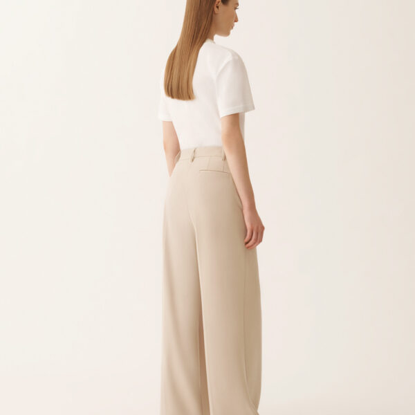 Spoleto Pants in Tech Tailoring