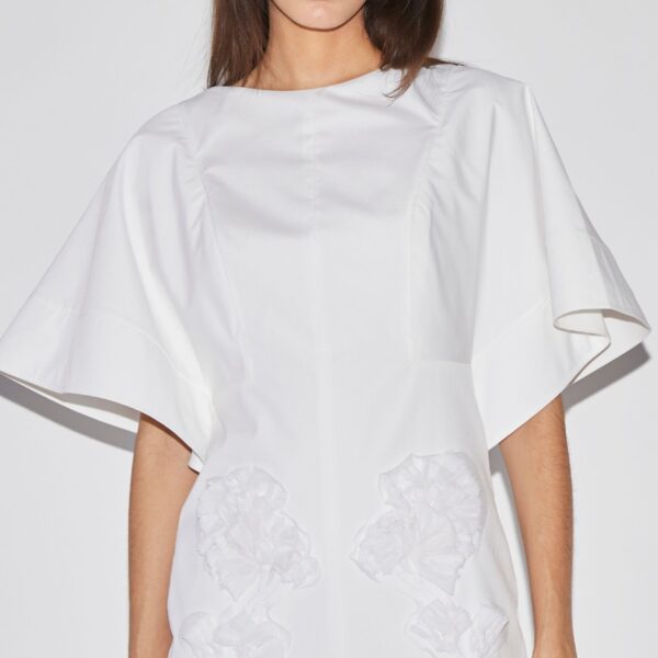 occasionwear