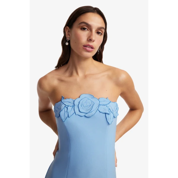 Leo Lin Rayna Appliqué Bustier Maxi Dress  - Leo Lin Dress - Australian Luxury Fashion - Shop at Coveti