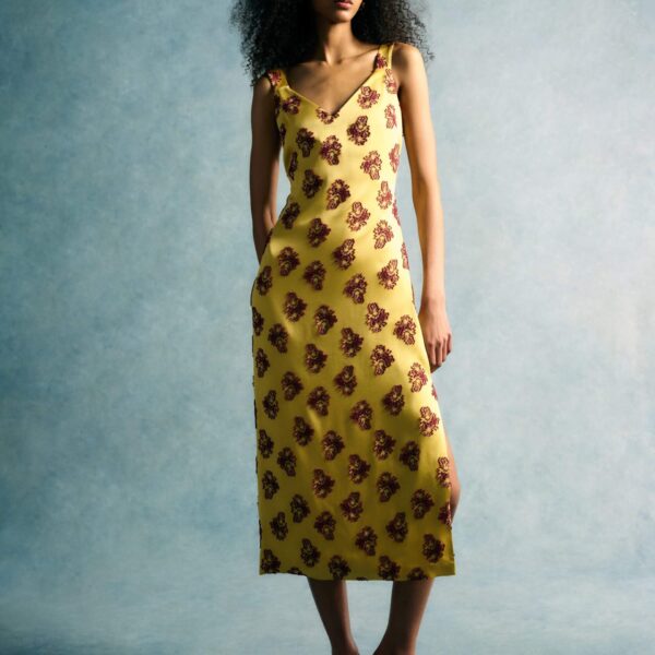occasion dress