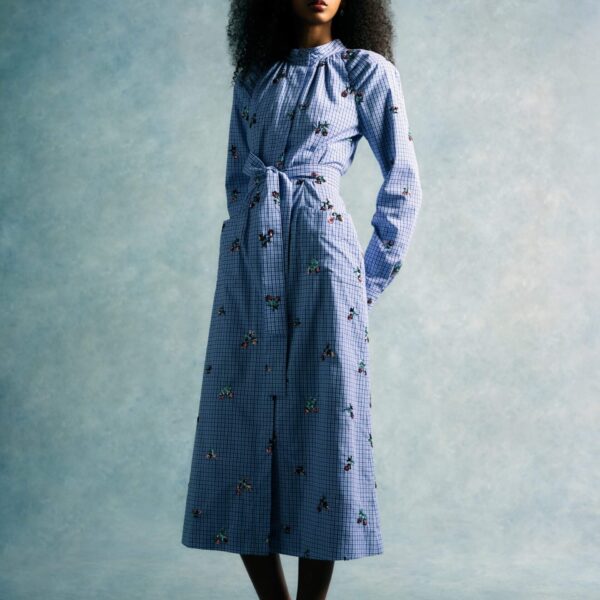 occasion dress