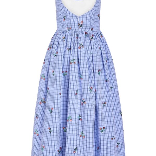 occasion dress