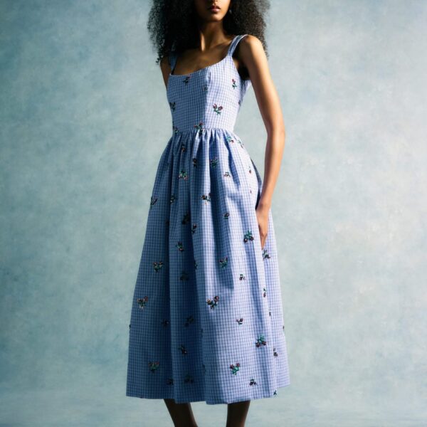 Sequin Embroidery dress