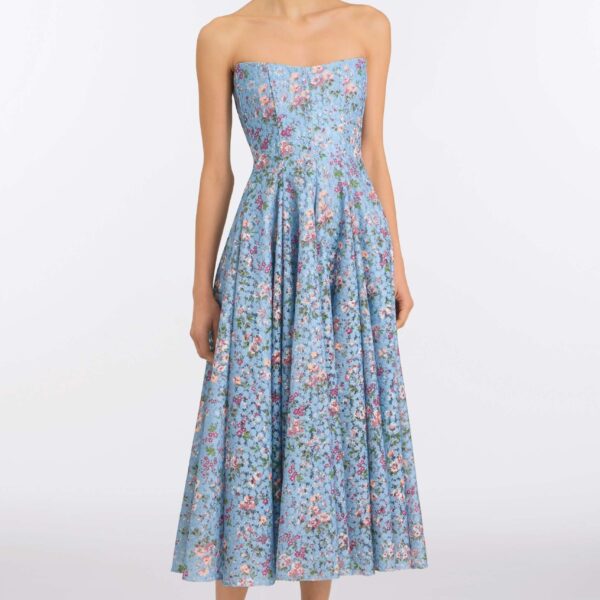 Markarian Lace Dress