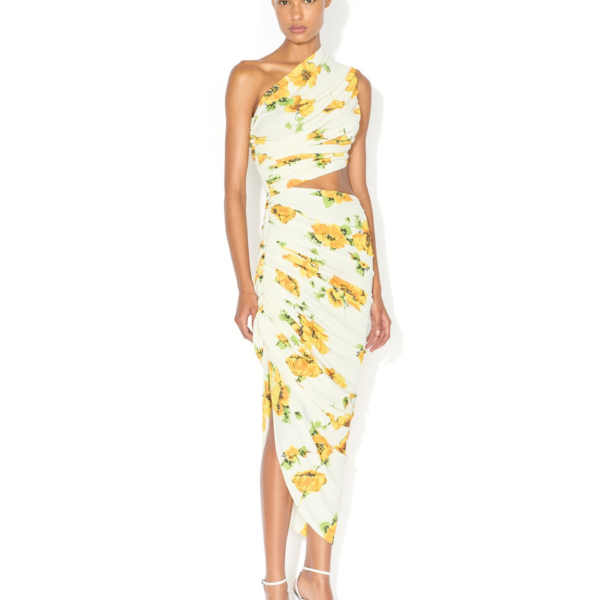 Alaïa Printed Cutout Dress - ALAÏA Dresses - Laser Cut Luxury - Shop at Coveti