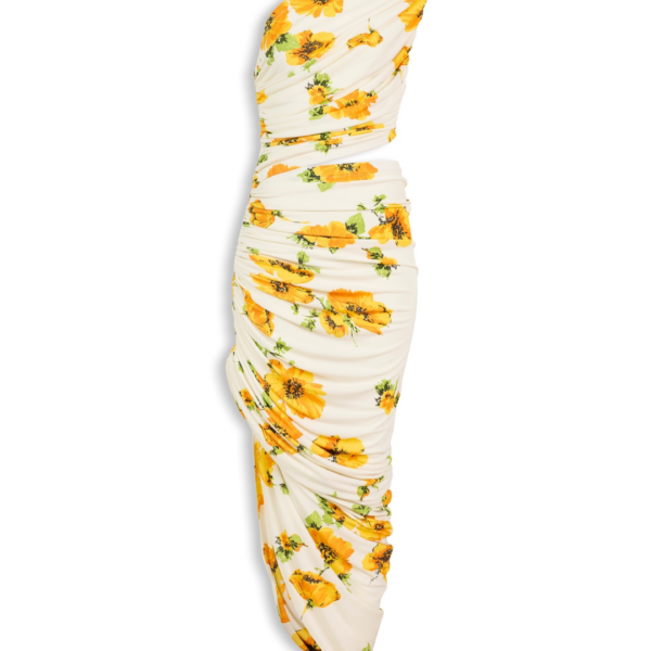 Alaïa Printed Cutout Dress - ALAÏA Dresses - Laser Cut Luxury - Shop at Coveti