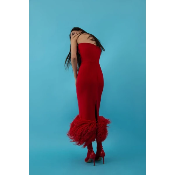 Rasario midi dress