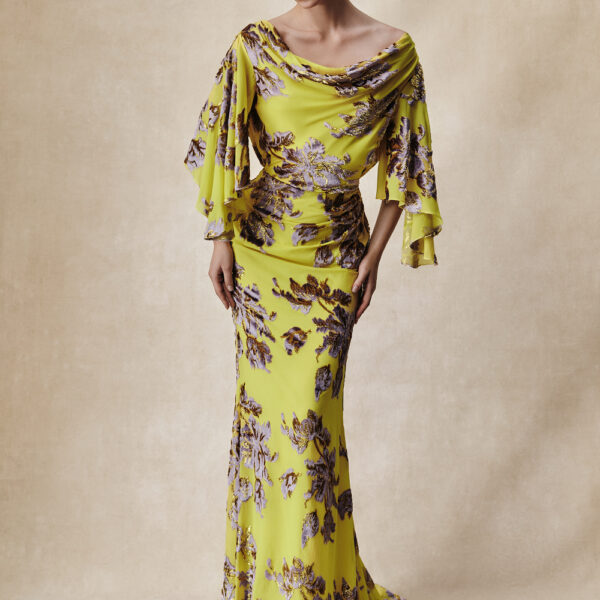Rasario maxi dress