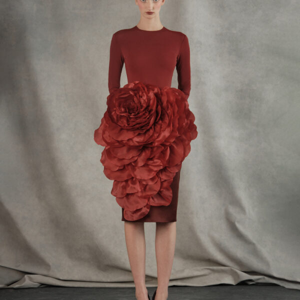 Rasario midi dress