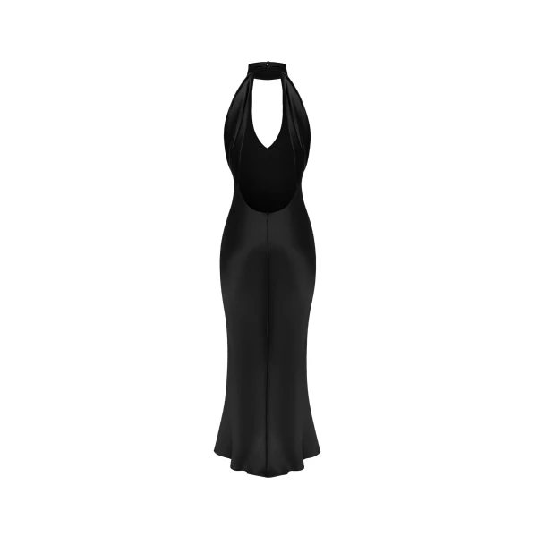 Rasario midi dress