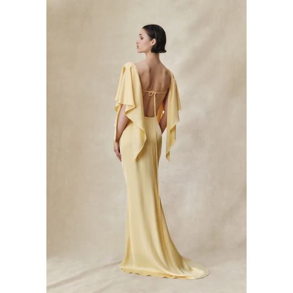 Rasario Viscose crepe maxi dress with draping and open back in Black, view 3