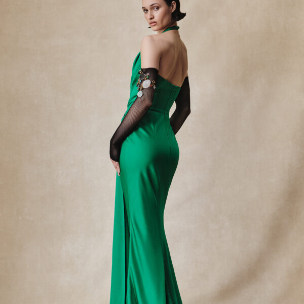 Rasario maxi dress