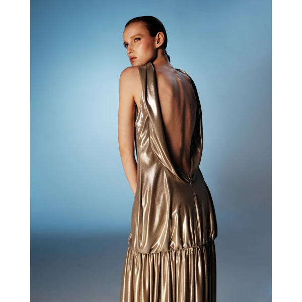 Rasario Chiffon maxi dress with an open back in Olive, view 2