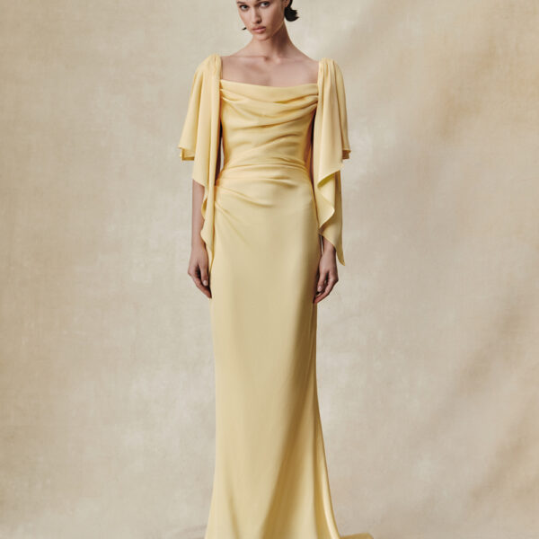 Rasario maxi dress