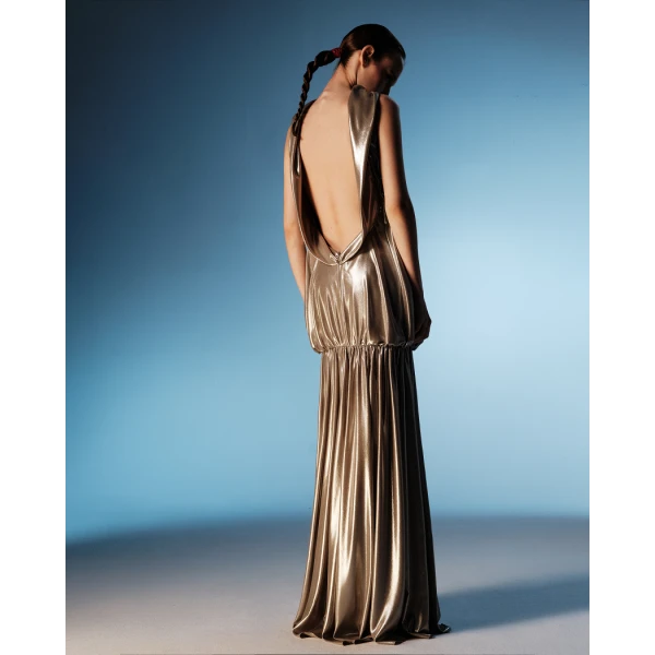 Rasario Chiffon maxi dress with an open back in Silver, view 2