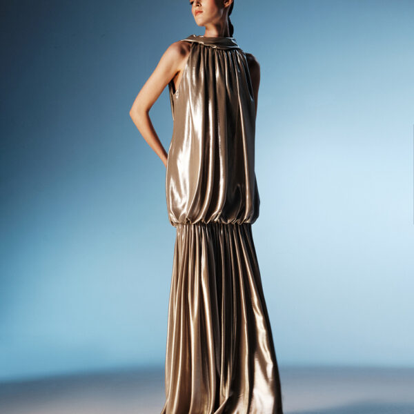 Rasario maxi dress