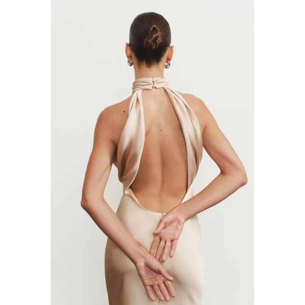 Rasario midi dress