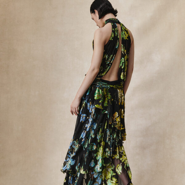 Rasario maxi dress