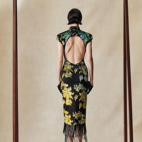 Rasario midi dress