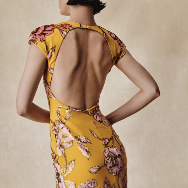 Rasario midi dress