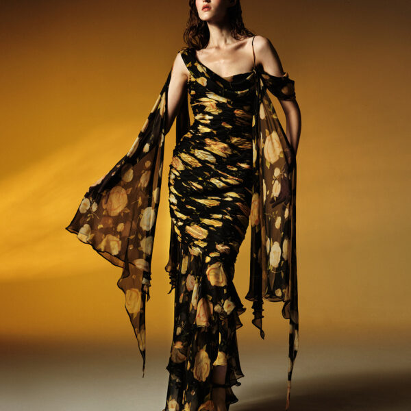 printed silk chiffon maxi dress