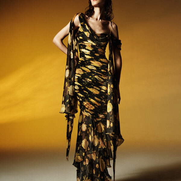 Rasario maxi dress